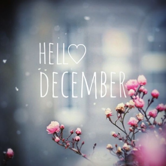 ✨Clear Out Sale ✨ - Picture 14 of 16